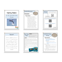 Elementary Dolphin Digital Unit Study