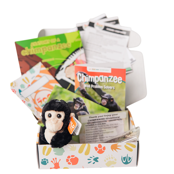 Chimpanzee EDventure – My ZOO Box