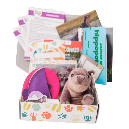 Hippopotamus EDventure