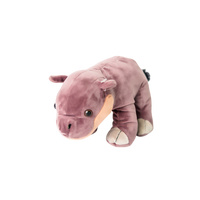 Hippopotamus EDventure – My ZOO Box Hippopotamus EDventure – My ZOO Box