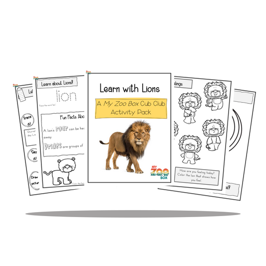 Lion Digital Unit Study