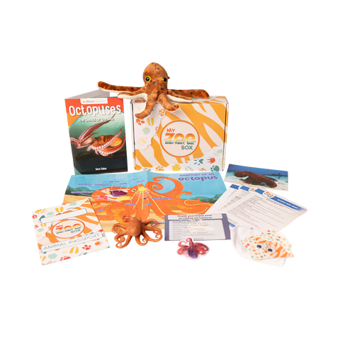 Octopus EDventure