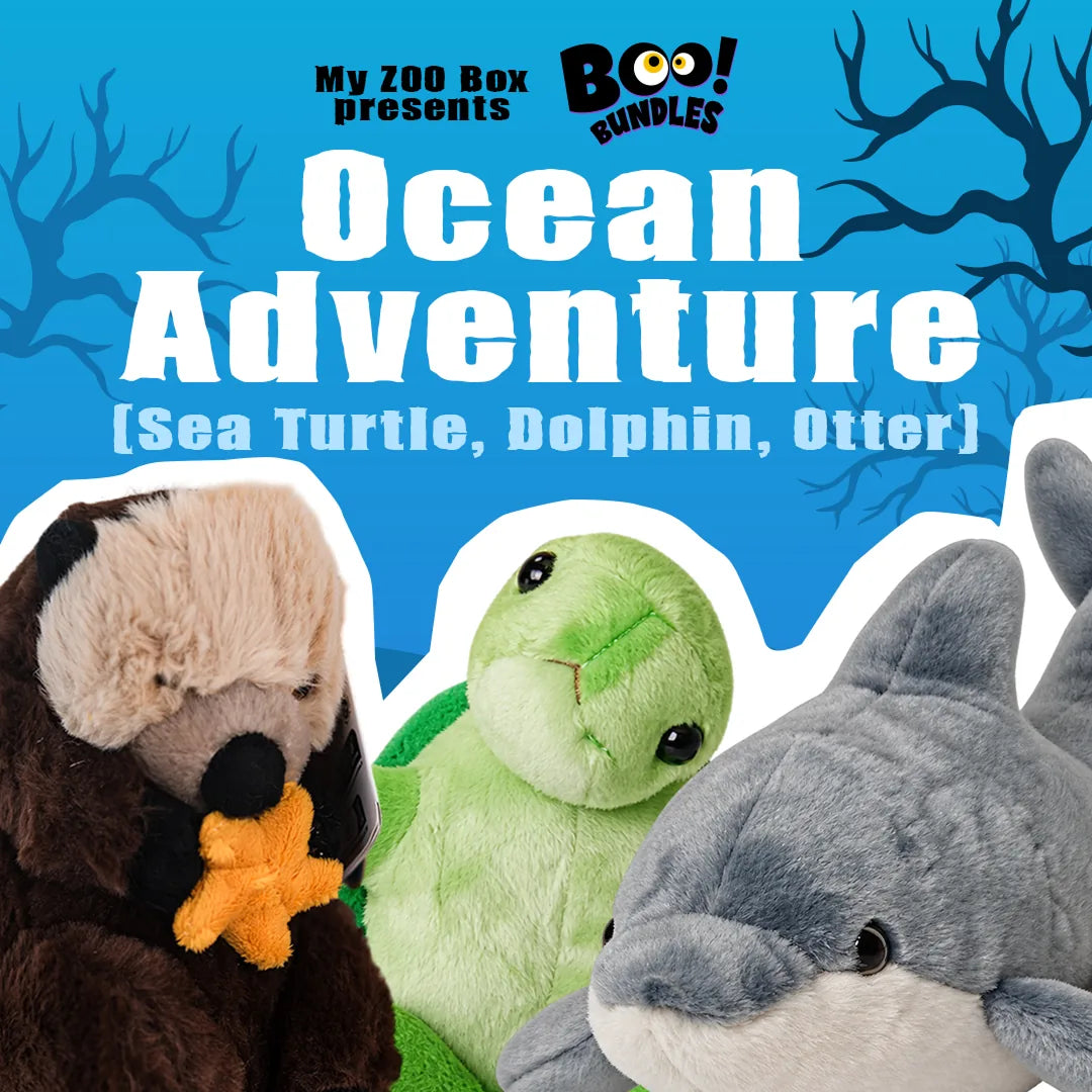 Ocean Adventure Bundle
