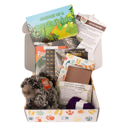 Porcupine EDventure
