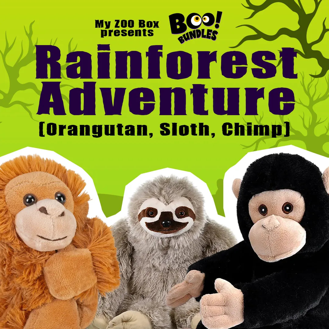 Rainforest Adventure Bundle