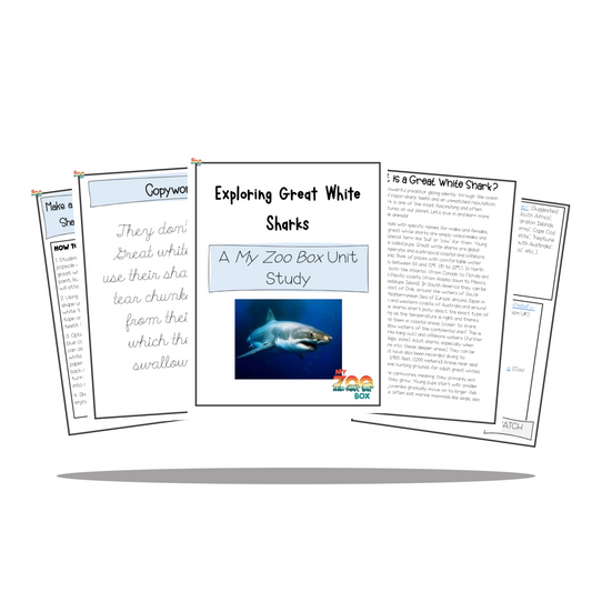 Elementary Great-White Sharks Digital Unit Study