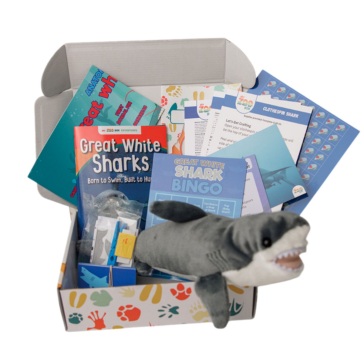 Great White Shark EDventure