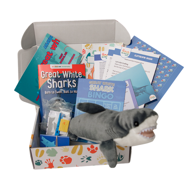 Great White Shark EDventure – My ZOO Box