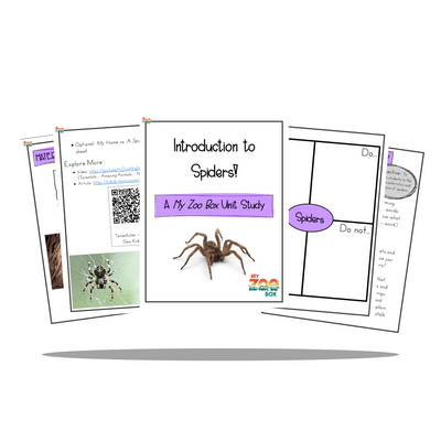 Elementary Spider Digital Unit Study