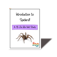 Elementary Spider Digital Unit Study