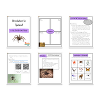 Elementary Spider Digital Unit Study