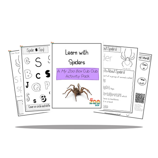 Preschool Spider Digital Unit Study