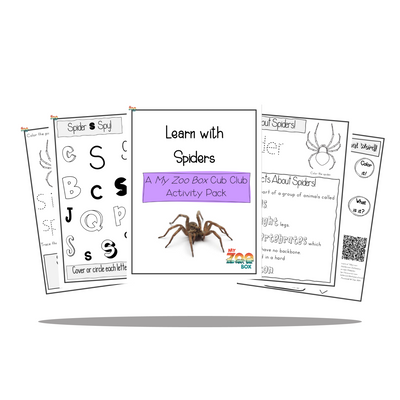 Preschool Spider Digital Unit Study