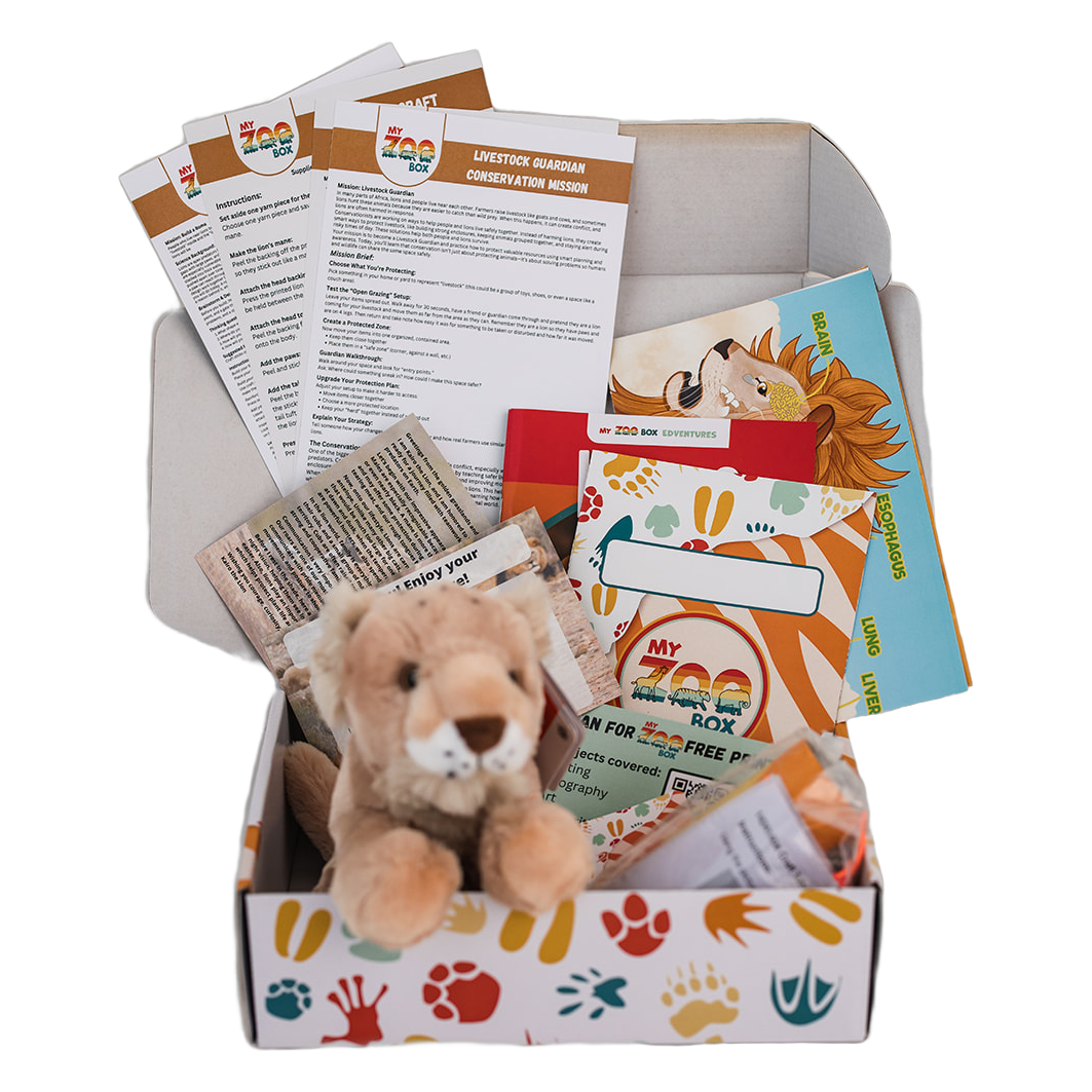 Lion Adventure box