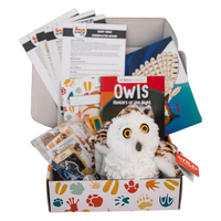 Owl Adventure box