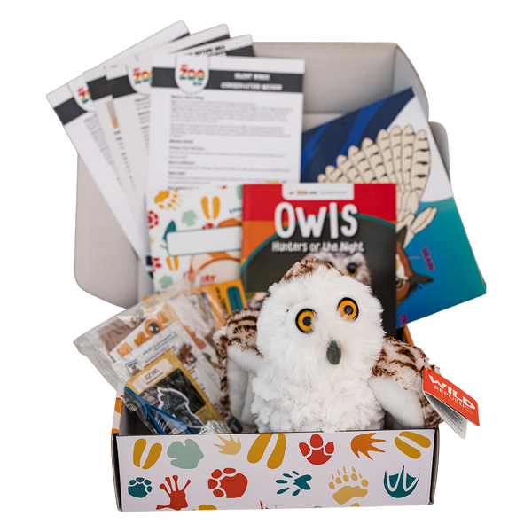 Owl EDventure