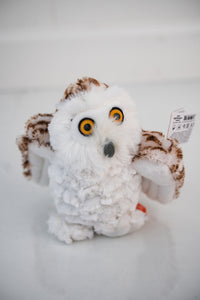 Owl Adventure box contents