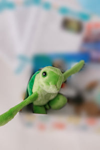 Sea Turtle Adventure box contents