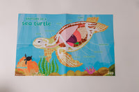 Sea Turtle Adventure box contents
