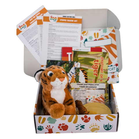 Tiger EDventure