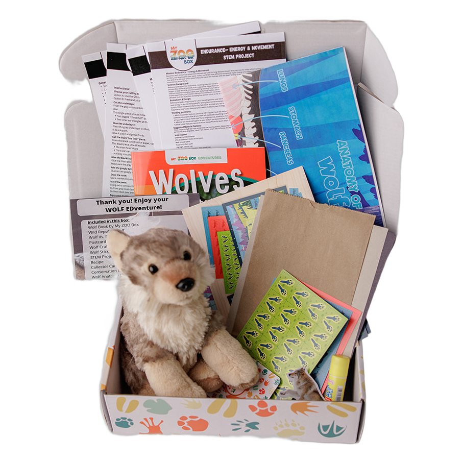 Wolf Adventure box