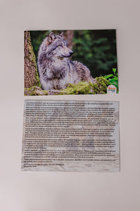 Wolf Adventure box contents