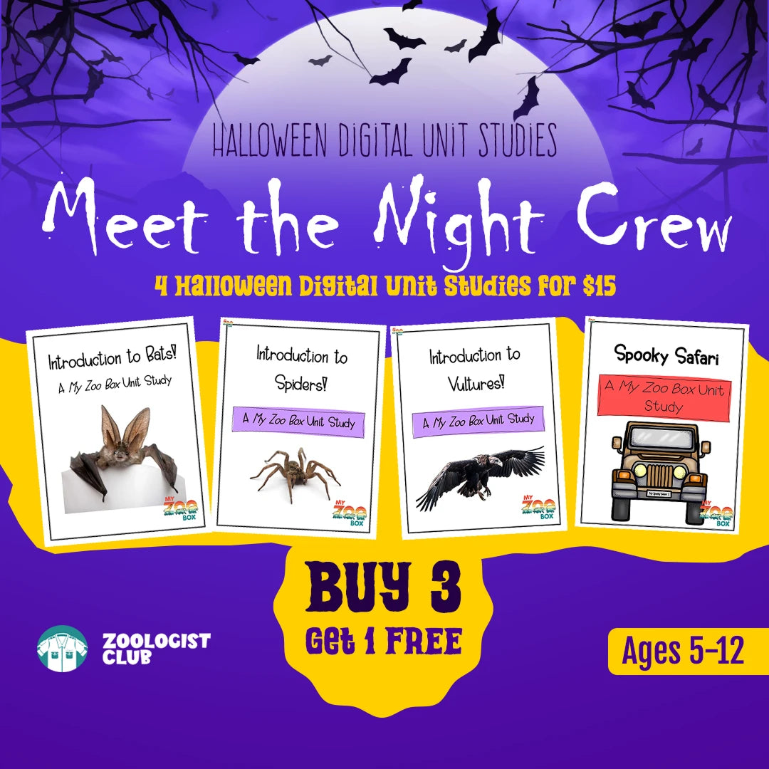 Meet the Night Crew: Bats, Spiders, Vultures and Spooky Safari unit studies
