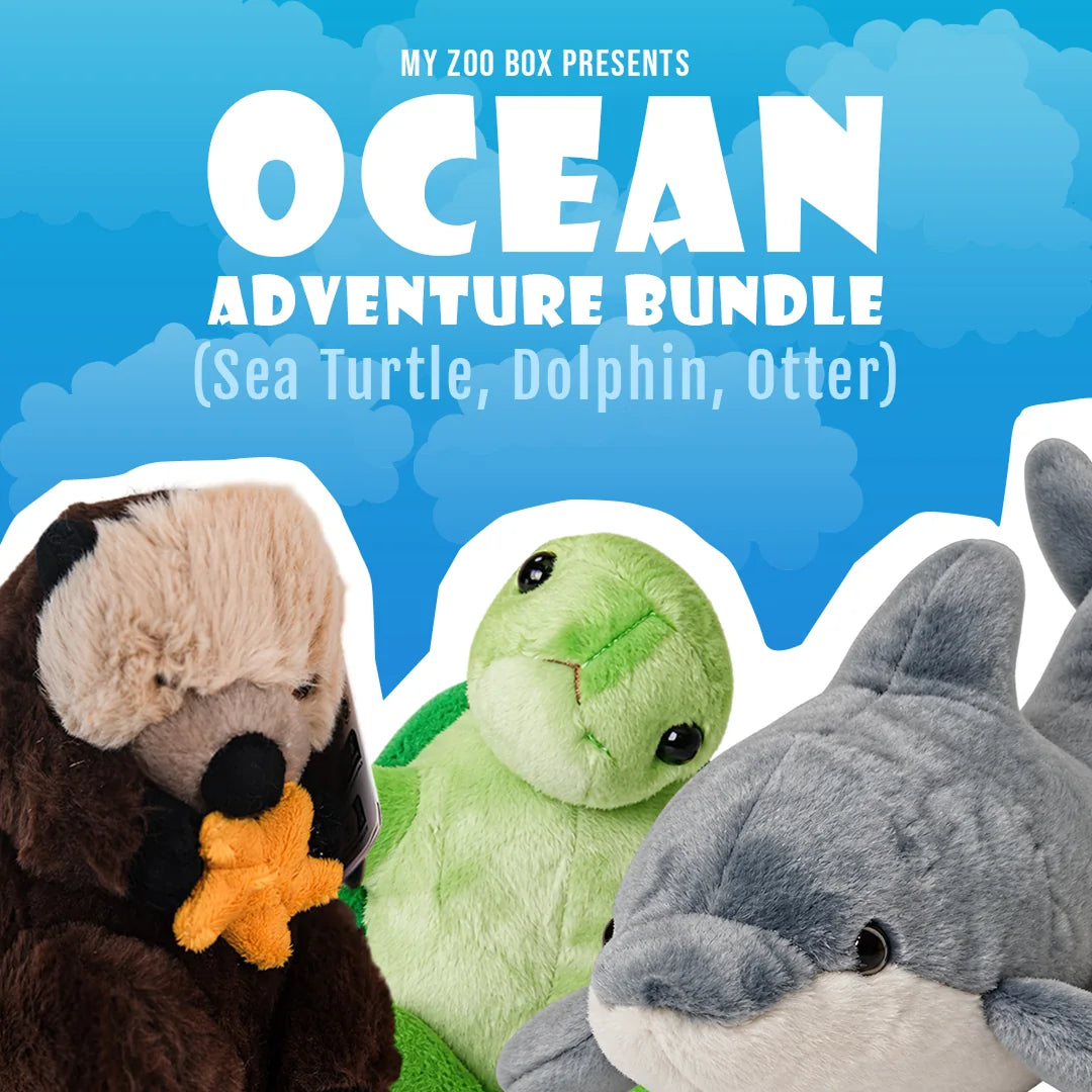 Ocean Adventure: Sea Turtle, Dolphin and Otter