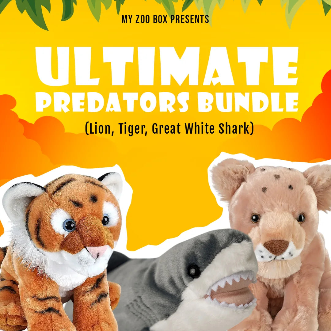 Ultimate Predators: Lion, Tiger and Great White Shark