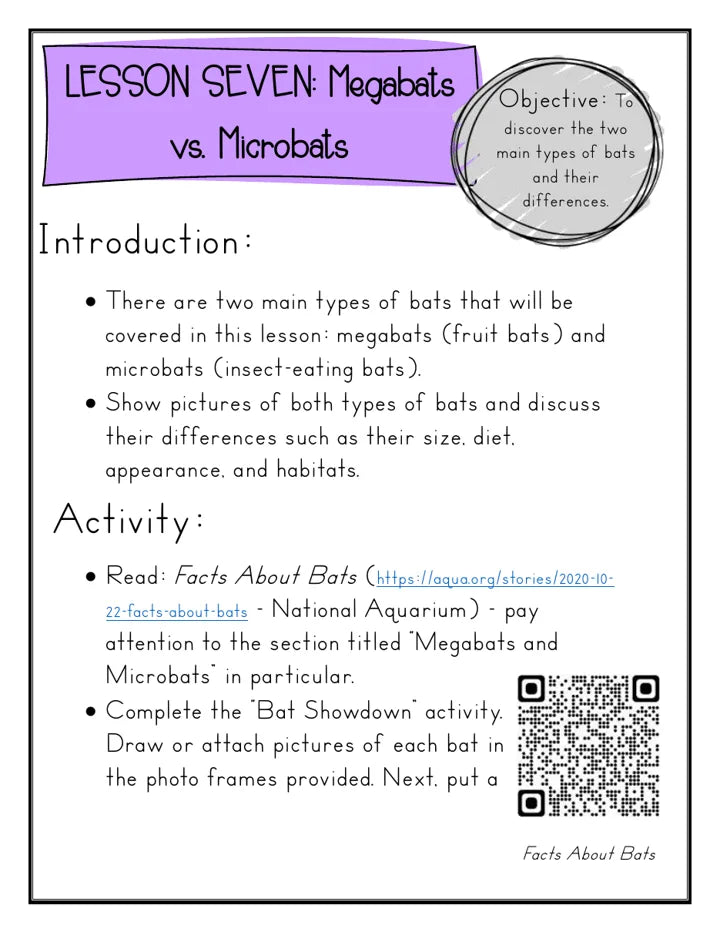 Megabats vs. microbats, with a video link, a page from the Bats study