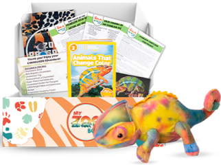 Kids’ Zoology Subscription Boxes | My ZOO Box